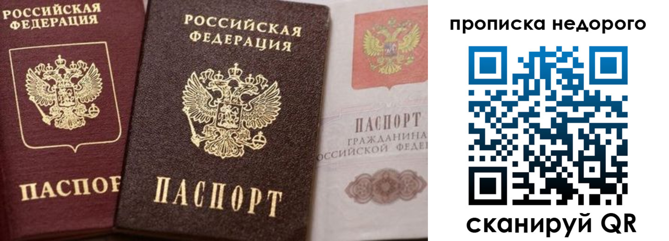 временная регистрация надежно в Амурской области